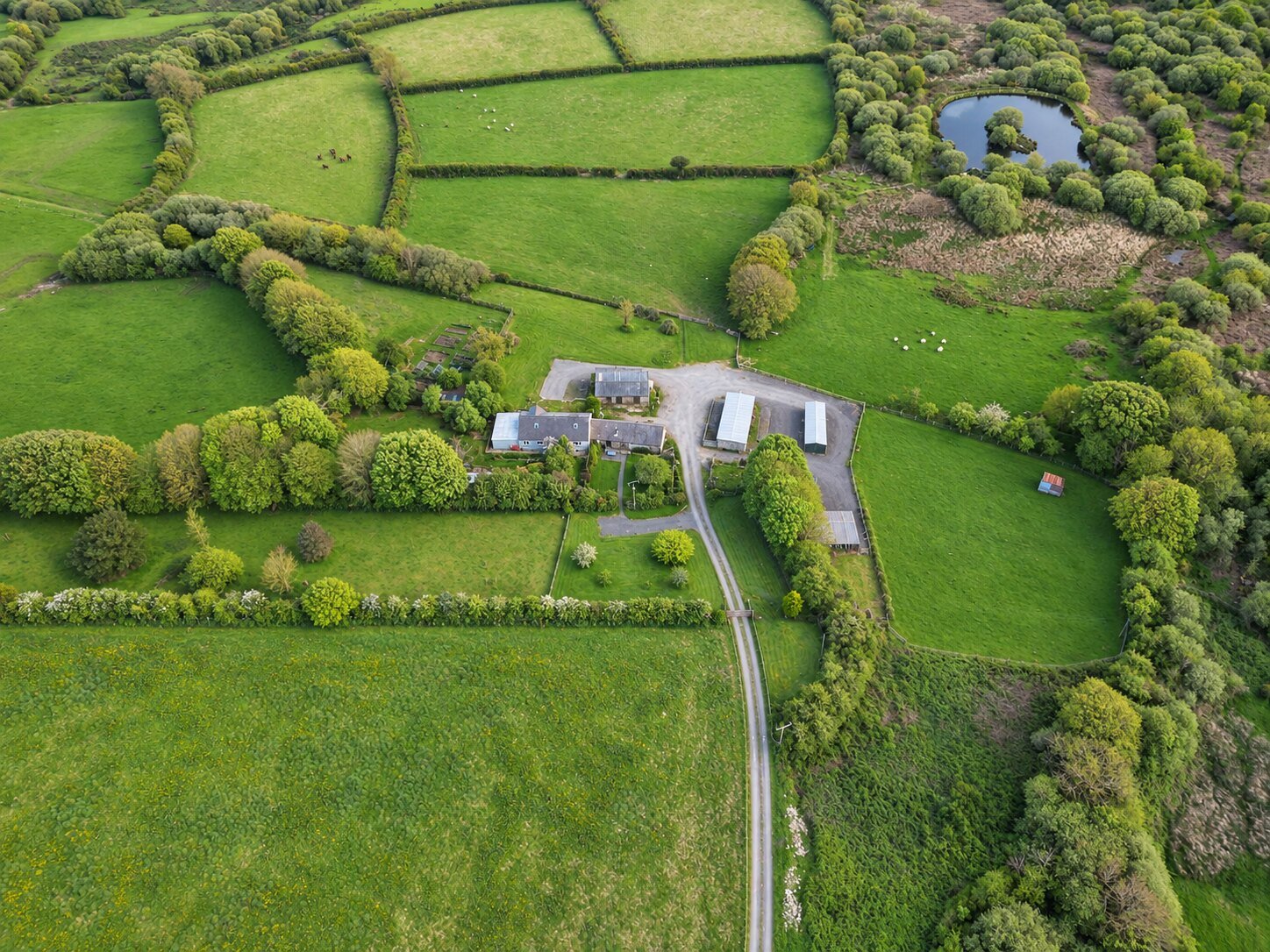 Aerial view of New Holmus Farm, its access road, fields, woodland and lake