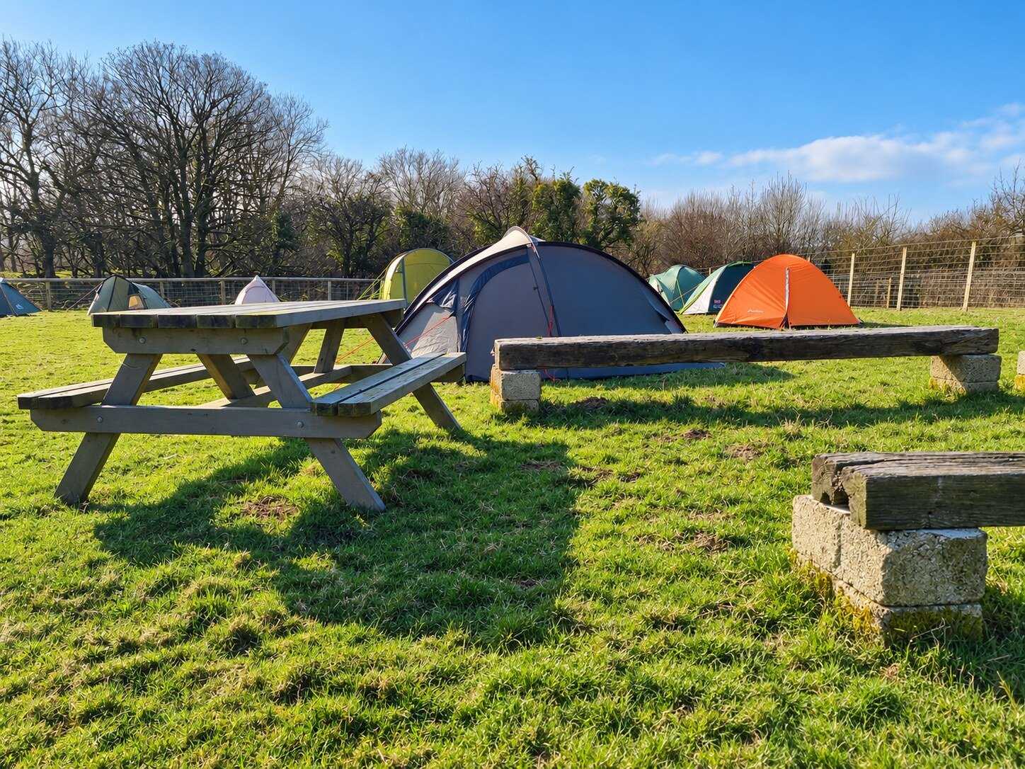 Tents on the participant campsite at New Holmus Farm